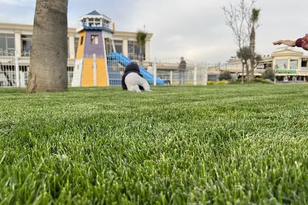 Çucuk Parkı - Park - Kocaeli Kartepe