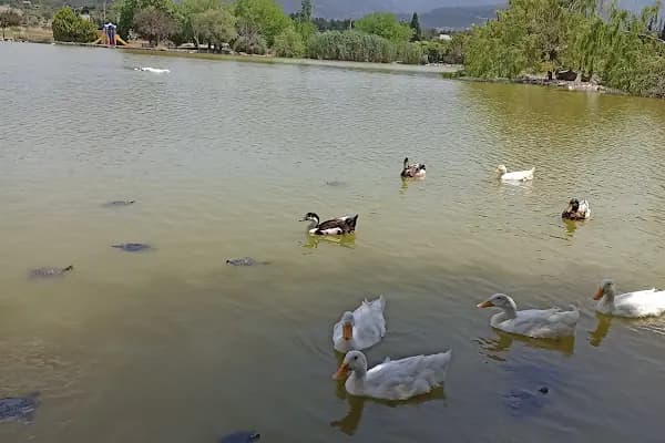 Buca Gölet - Doğa Koruma Alanı - İzmir Karabağlar