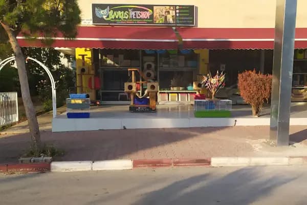 Antalya Baykuş Pet Shop Lara - Evcil hayvan mağazası - Antalya Finike