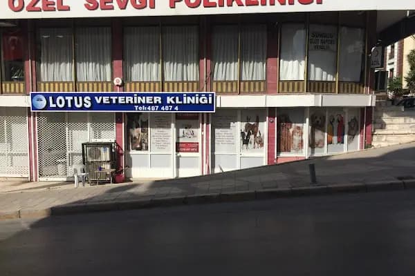 Lotus Veteriner Kliniği - Veteriner - İzmir Buca