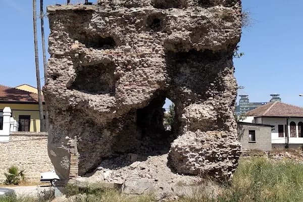 Eski Vilayet Veteriner Kliniği - Veteriner - Adana Seyhan