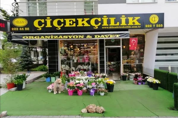 Ankara Çiçek Siparişi.. Dilşad Çiçekçilik - Çiçekçi - Ankara Çankaya