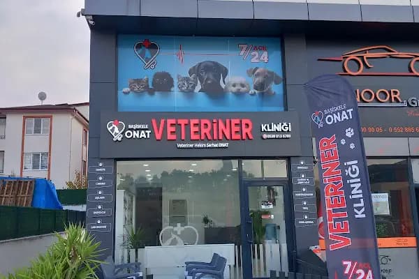 Başiskele ONAT VETERİNER KLİNİĞİ - Veteriner - Kocaeli Başiskele