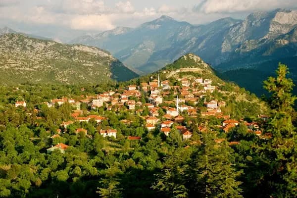 Ormana Active - Otel - Antalya İbradı