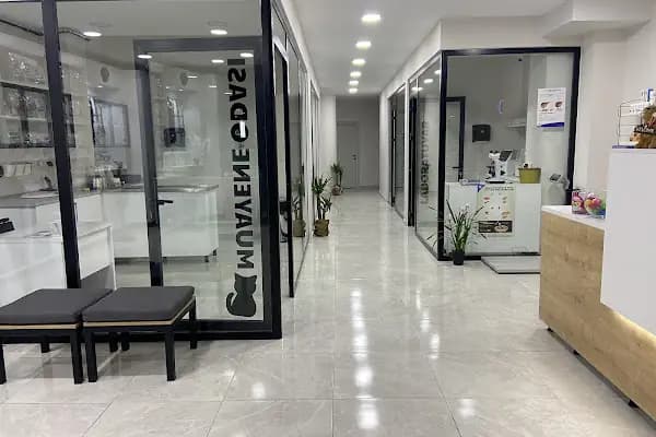 Patimed Veteriner Kliniği - Veteriner - İstanbul Küçükçekmece