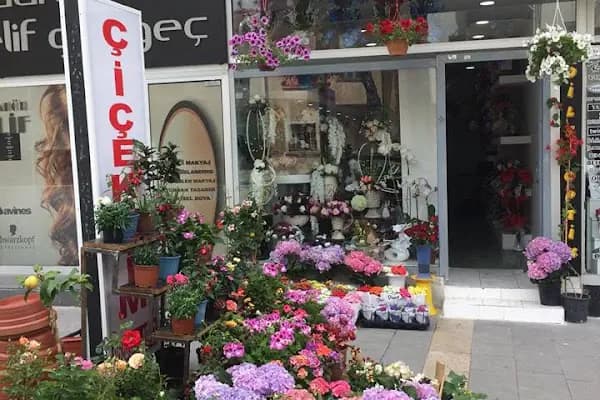 Malatya Çiçekçim - Çiçekçi - Malatya Yeşilyurt