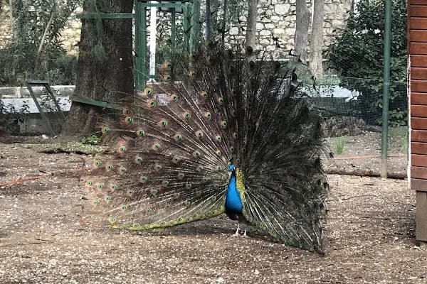 BEF Doğal Yaşam Parkı - Hayvanat Bahçesi - İzmir Buca