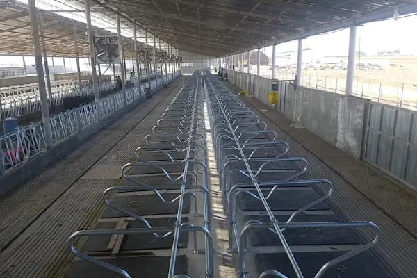 AsilFarm Çiftlik Ekipmanları - Tarımsal Ekipman Tedarikçisi - Konya Karatay