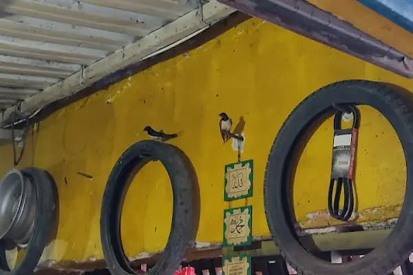 GÜLERCE OTO LASTİK - Oto Lastik Dükkanı - Manisa Turgutlu