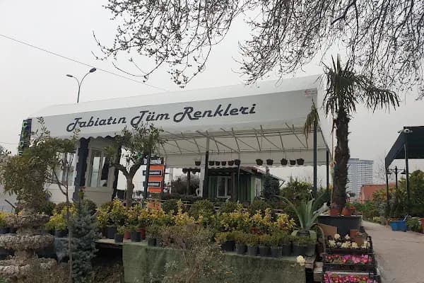 Avcılar Botanik - Çiçekçi - İstanbul Avcılar