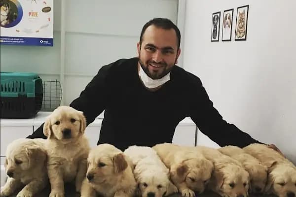 Aldeva Veteriner Kliniği - Veteriner - Antalya Alanya