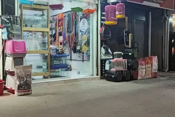 Sakarya Sihirli Petshop - Evcil Hayvan Malzemeleri Mağazası - Sakarya Adapazarı