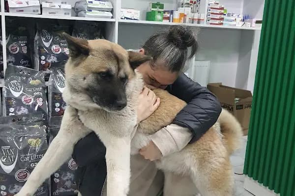 Nexus Veteriner Kliniği - Veteriner - Bursa Nilüfer