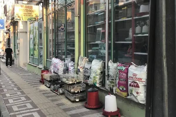 Yunus petshop - Evcil hayvan mağazası - Bursa İznik