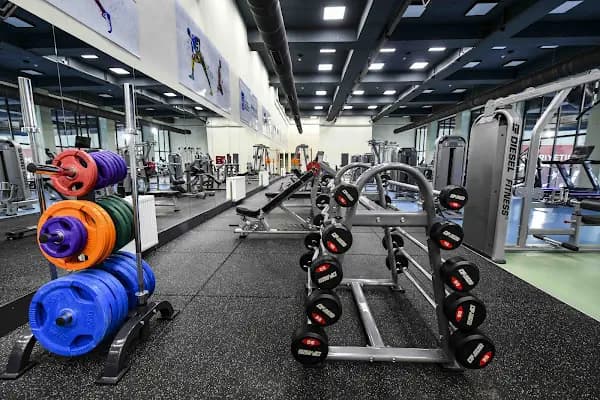 ANKARA BÜYÜKŞEHİR BELEDİYESİ ALTINPARK 100. YIL YÜZME HAVUZU VE SPOR KOMPLEKSİ - Yüzme havuzu - Ankara Çankaya