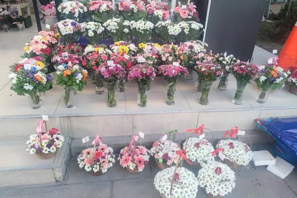 Eryaman Çiçekçi.. Hazal Çiçek 2 - Çiçekçi - Ankara Etimesgut