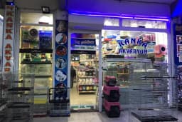 Kanka Pet Shop
