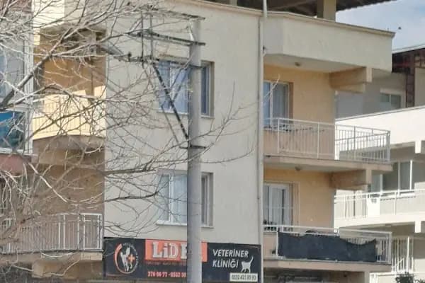 Lider Veteriner Kliniği - Veteriner - İzmir Buca