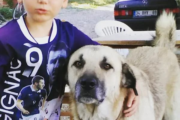 Kardeşler Oto Yıkama - Araba Yıkama - İstanbul Avcılar