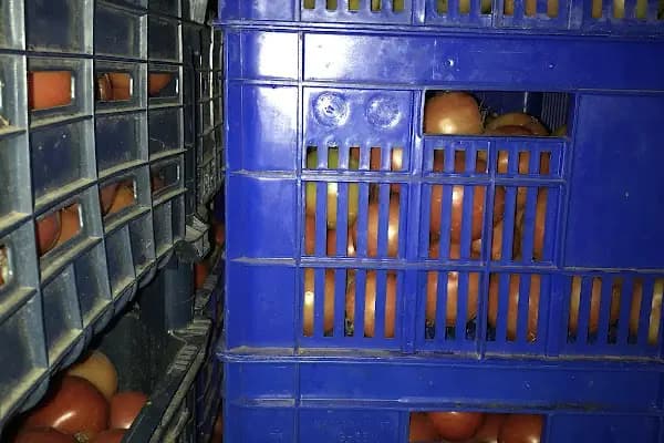 Domates Fabrikası - Konserve Fabrikası - Balıkesir Altıeylül