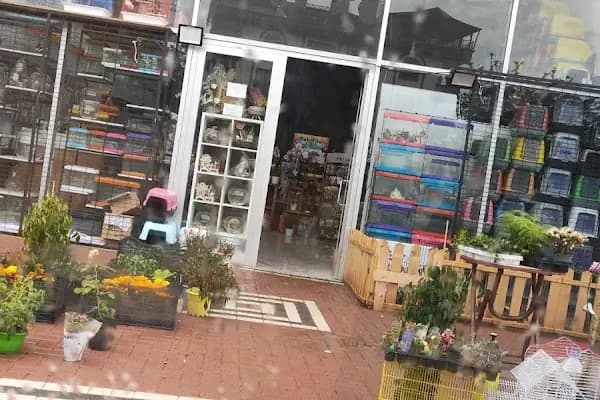 Altındağ Kadife Petshop - Evcil Hayvan Malzemeleri Mağazası - Ankara Altındağ