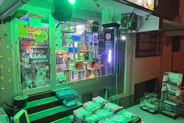 EYMEN PETSHOP AKVARYUM - Evcil hayvan mağazası - Ankara Keçiören