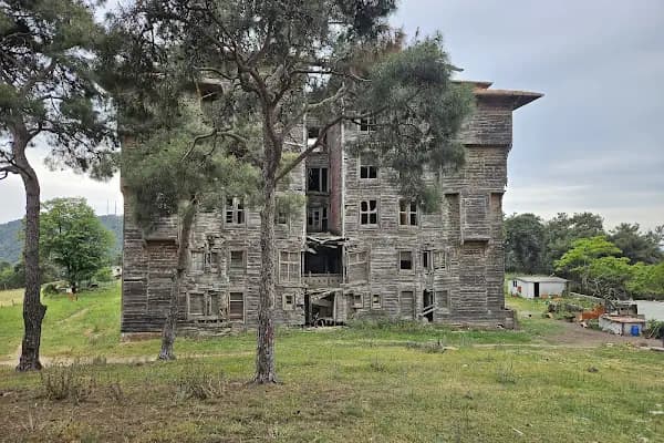 Büyükada - Ada - İstanbul Bakırköy