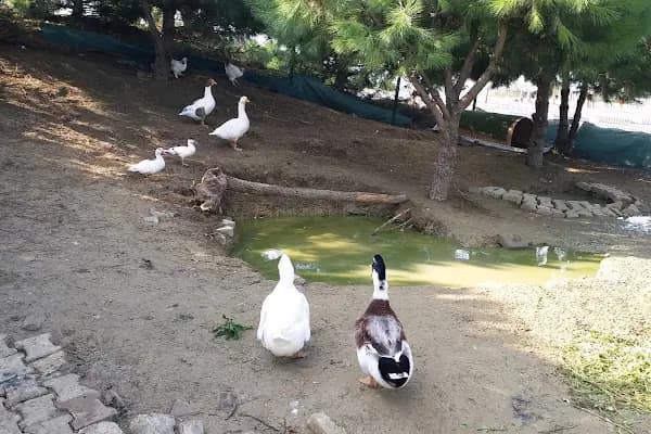 İstaç A.Ş IMRAHOR REHABİLİTE MAKSATLI HAFRİYAT SAHASI - Kurumsal Ofis - İstanbul Sultangazi