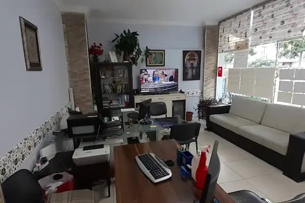 Miss Temizlik Hizmetleri - Ev Temizlik Hizmetleri - İstanbul Avcılar