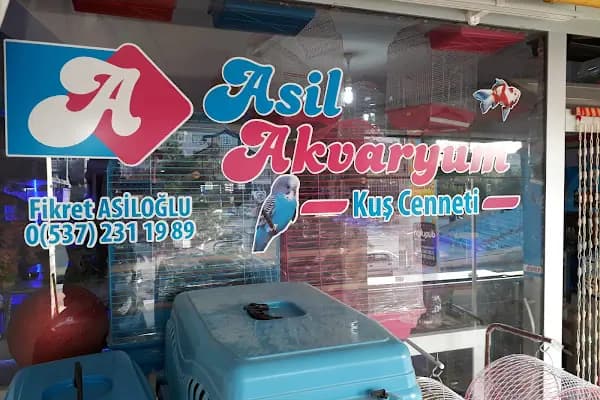 Asil Akvaryum - Evcil Hayvan Malzemeleri Mağazası - Tekirdağ Kapaklı