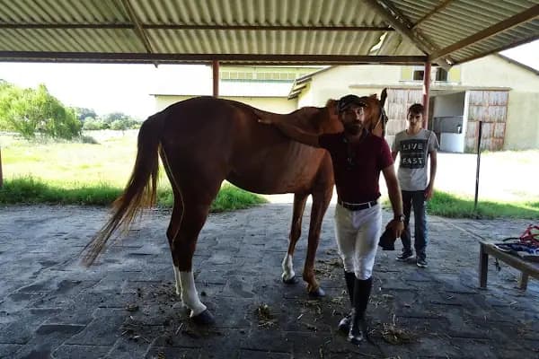 Olimpos Çiftliği - At Binme Hizmeti - Tekirdağ Kapaklı