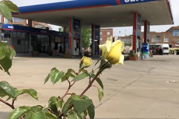 Salihoğulları Petrol ( Şimşek Petrol ) - Yakıt Tedarikçisi - Diyarbakır Bismil