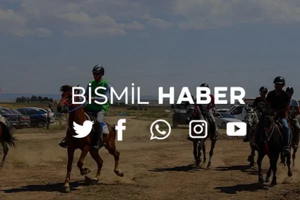 Bismil Haber - Gazete Yayıncısı - Diyarbakır Kayapınar