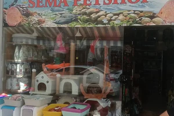 Vatos's Akvaryum Petshop - Evcil hayvan mağazası - Antalya Muratpaşa