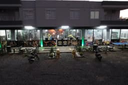 Lion Gym Spor Salonu