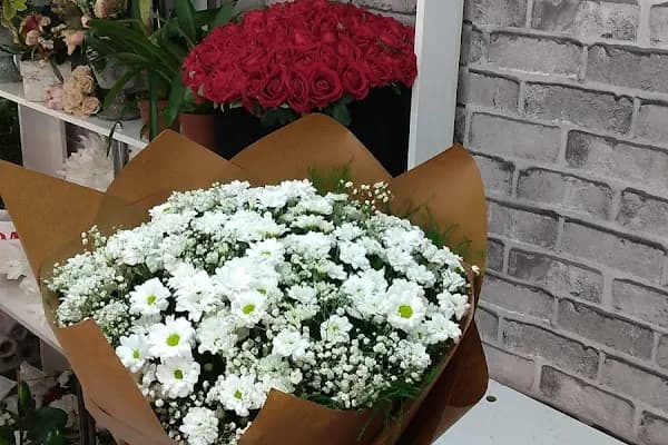 BOTANİK ÇİÇEKÇİLİK - Çiçekçi - İzmir Balçova