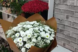 BOTANİK ÇİÇEKÇİLİK