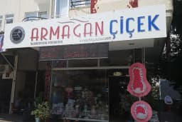 Alanya Çiçek Armağan Flowers Цветы