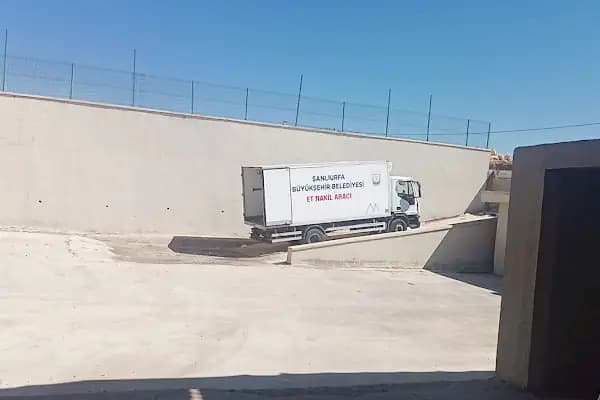 Şanlıurfa Büyükşehir Belediyesi hayvan kesim yeri - Büyükbaş Hayvan Pazarı - Şanlıurfa Eyyübiye