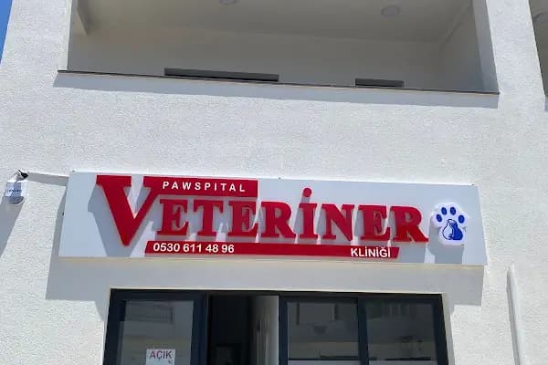 Turgutreis Veteriner - Pawspital Veteriner Kliniği - Veteriner - Muğla Bodrum