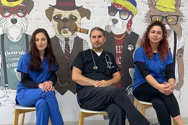 Veteriner Hekim Serkan ALBAY - Veteriner - Bursa Nilüfer