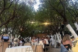Bodrum'un Mezecisi