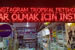 Toyasu Akvaryum &amp; Pet Shop