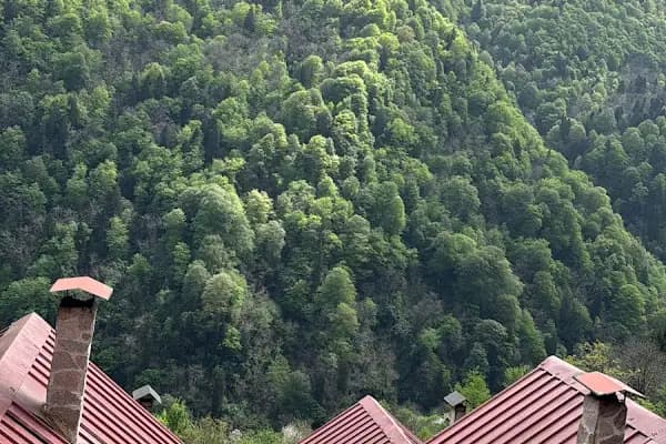 seyri cennet dağ evleri - Otel - Rize Çamlıhemşin