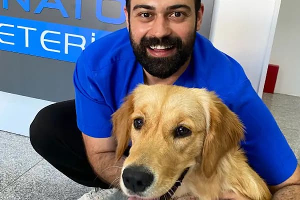 Anatomi Veteriner - Veteriner - Bursa Nilüfer