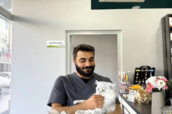 Küçükçekmece White Vet Veteriner Kliniği - Veteriner - İstanbul Arnavutköy