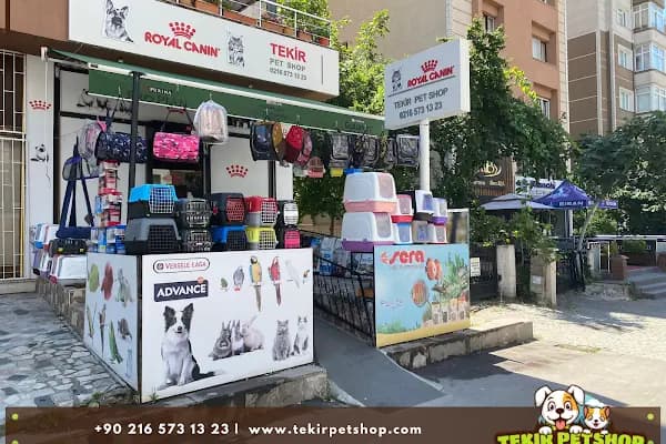 Tekir Petshop - Evcil Hayvan Malzemeleri Mağazası - İstanbul Ataşehir