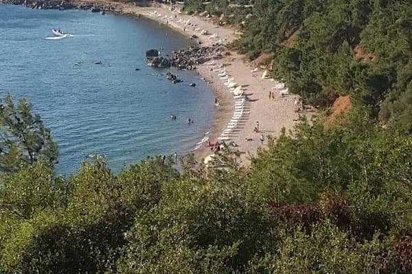 Levent Lavi Kovos Korusu - Ağaç Parkı - İstanbul Avcılar