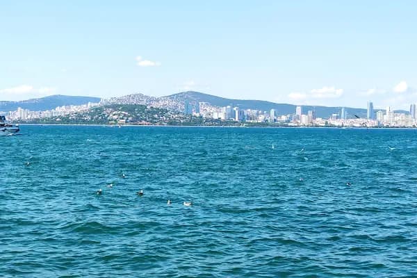By Sukru Restaurant - Deniz mahsülleri restoranı - İstanbul Adalar