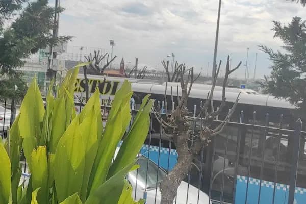 Bizim Ocak Lokanta - Aile restoranı - Erzurum Aşkale